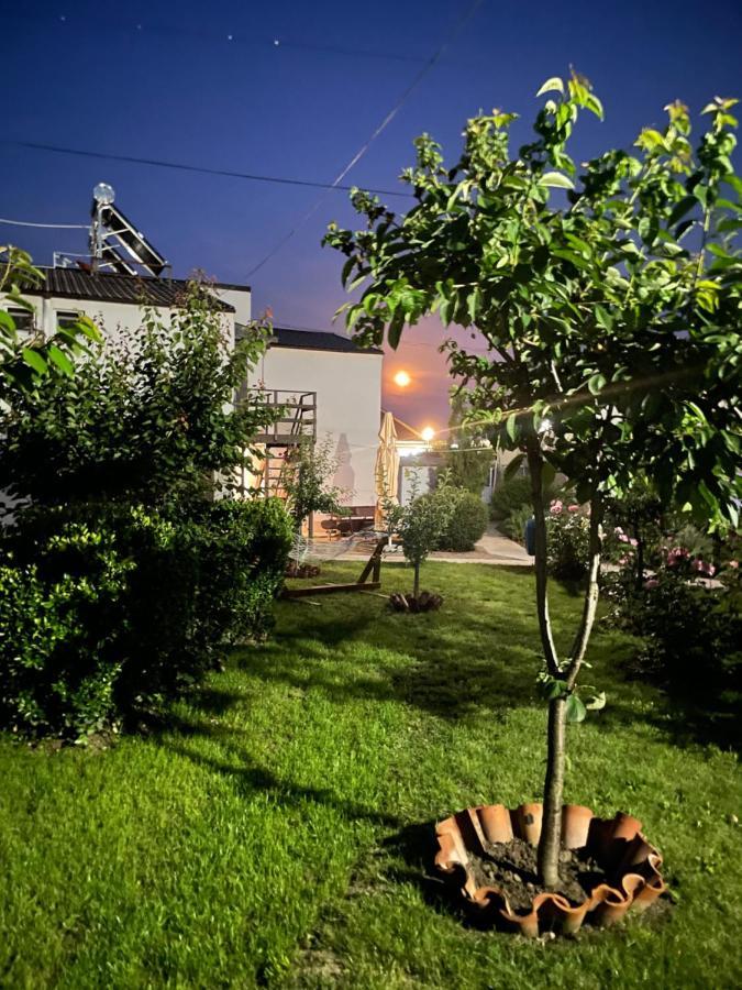 Hotel Complex Minerva Costineşti Exteriér fotografie