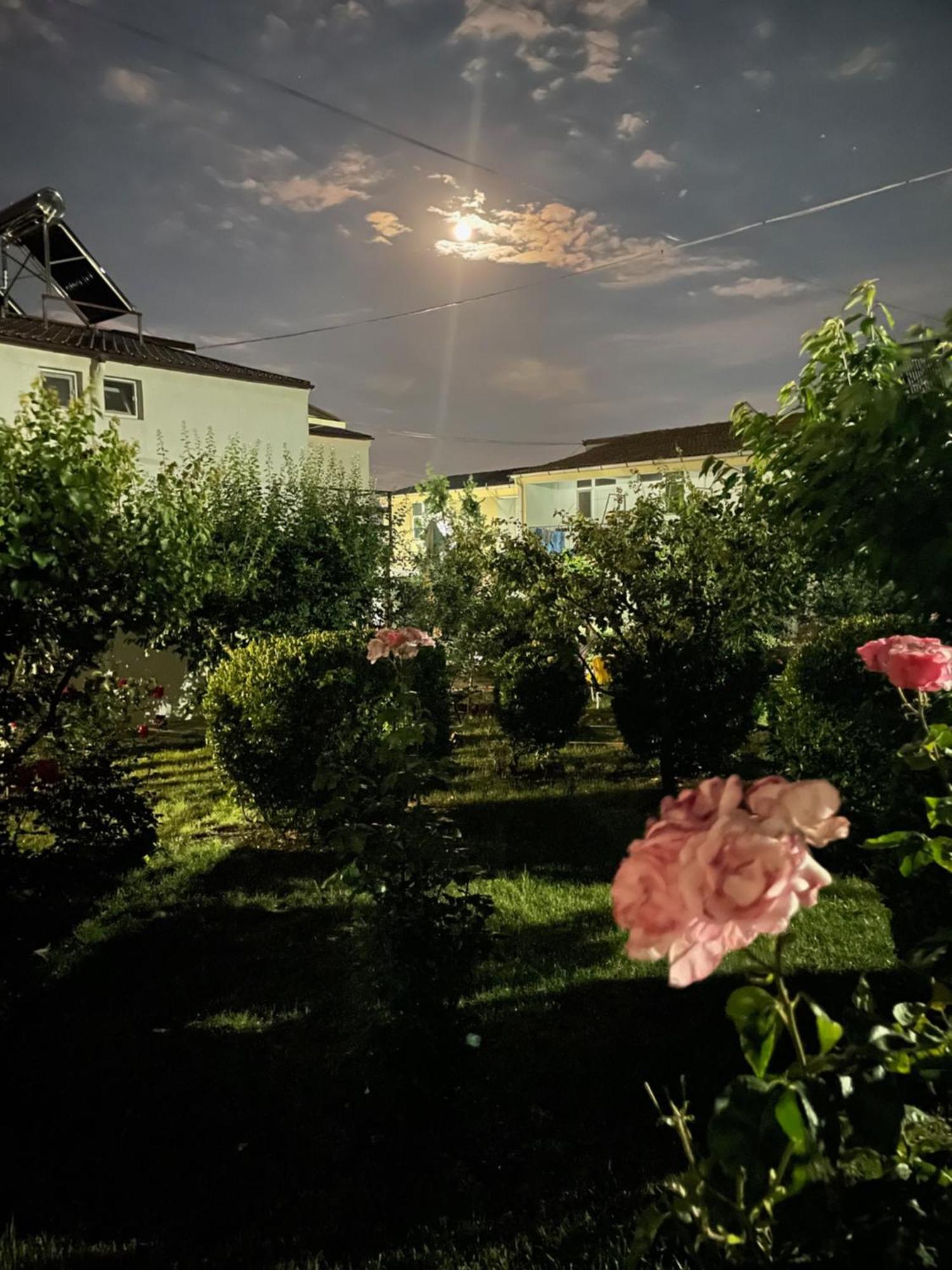 Hotel Complex Minerva Costineşti Exteriér fotografie