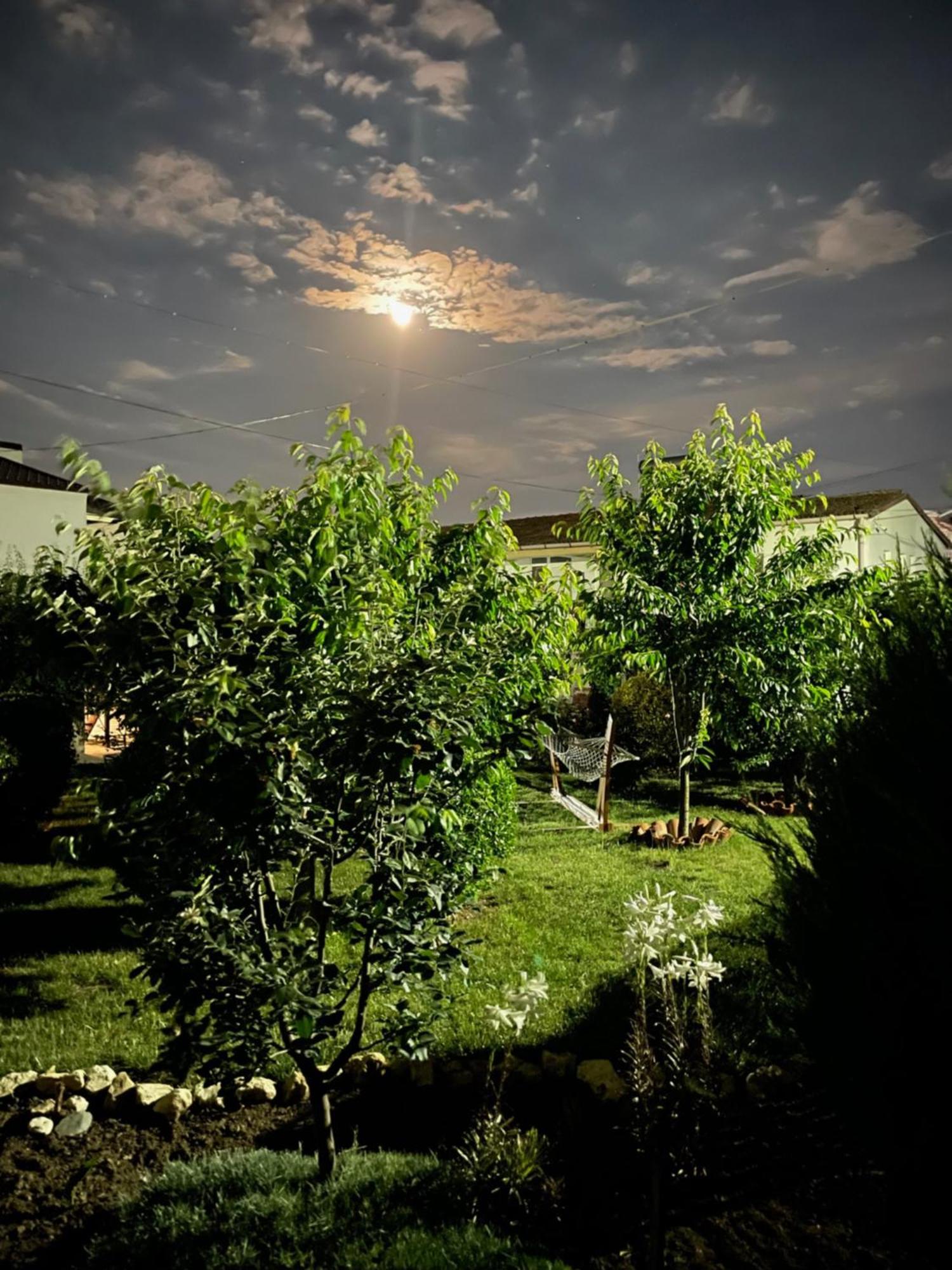 Hotel Complex Minerva Costineşti Exteriér fotografie